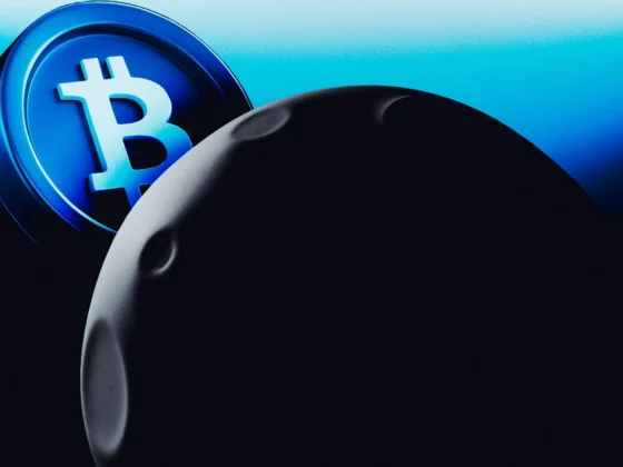 Bitcoin Treasury Company