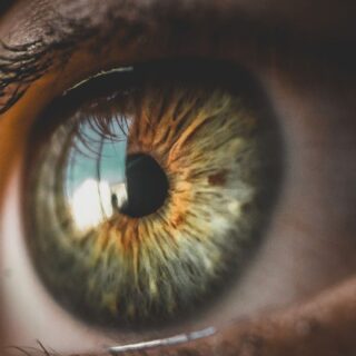 DMLA traitement technologie