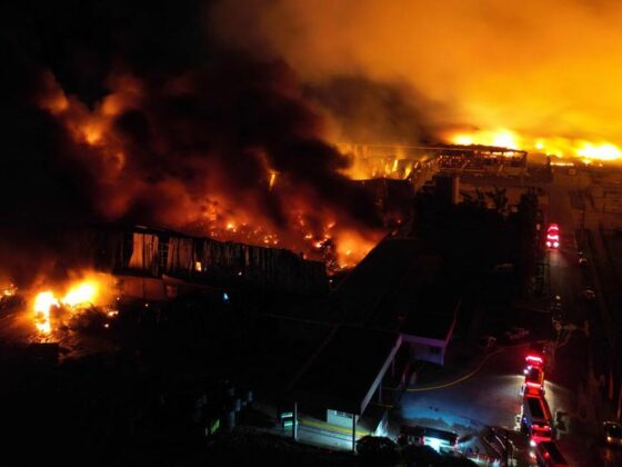 Argentine Suède Mali