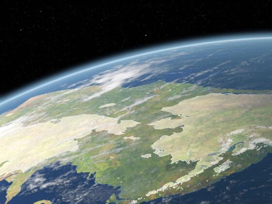 cancer évolution régulation