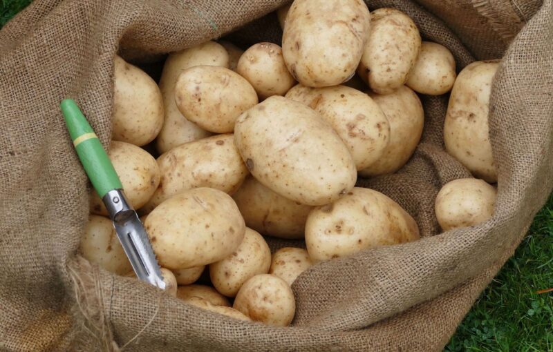 distribution pommes de terre