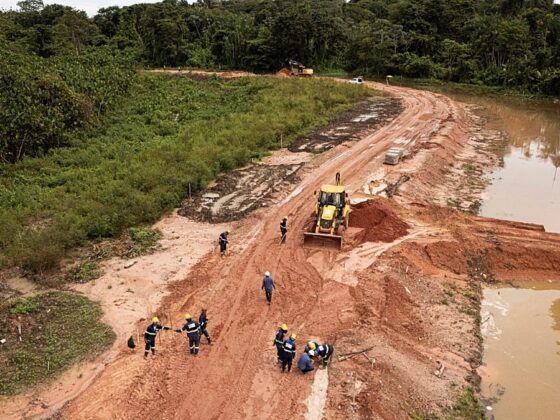 Brésil COP30 abattage arbres