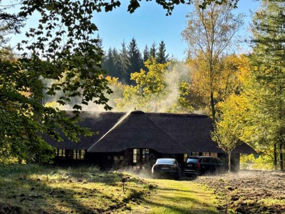 paradis fiscal Allemagne