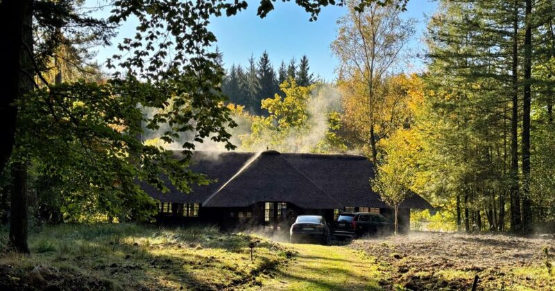 paradis fiscal Allemagne