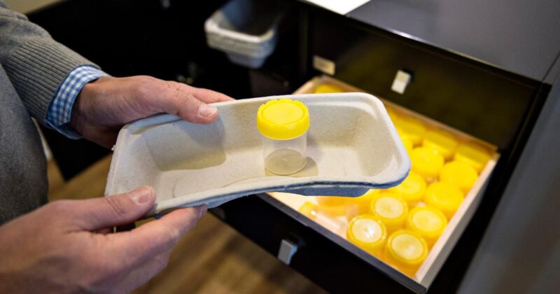 banque de sperme danoise