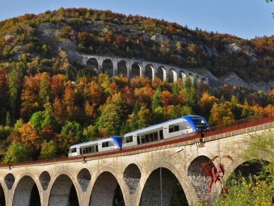 train des Hirondelles