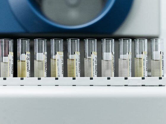 poliovirus eaux usées