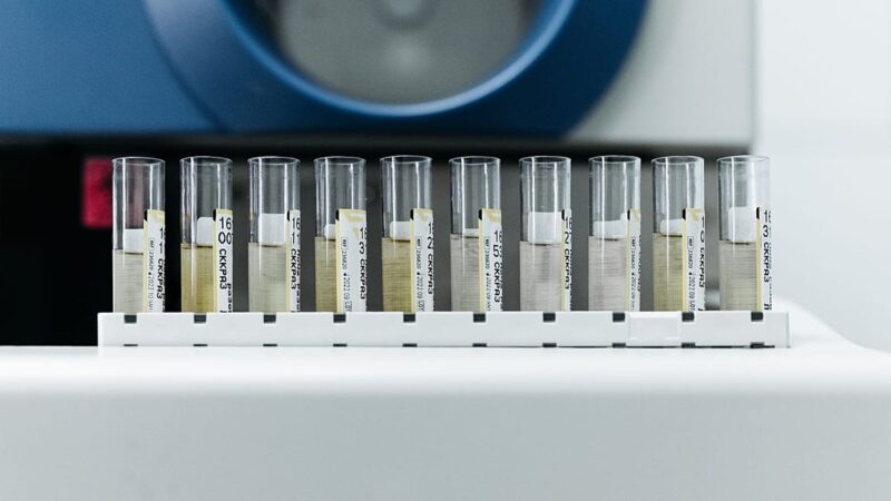 poliovirus eaux usées