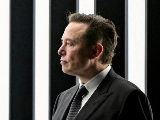 Tesla raisons politiques