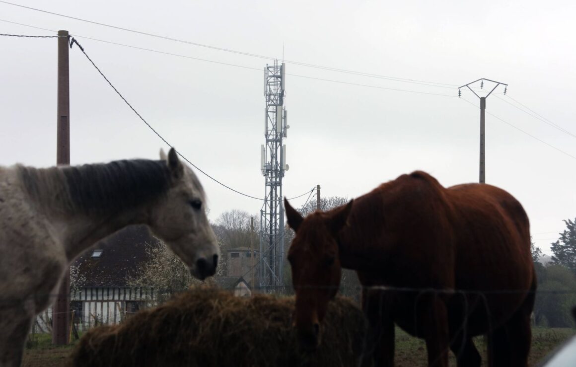 meilleur réseau mobile France
