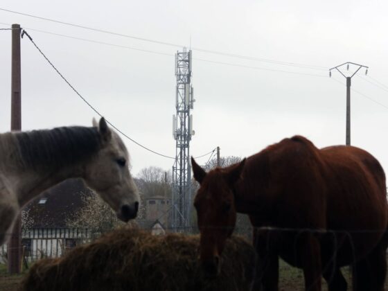 meilleur réseau mobile France