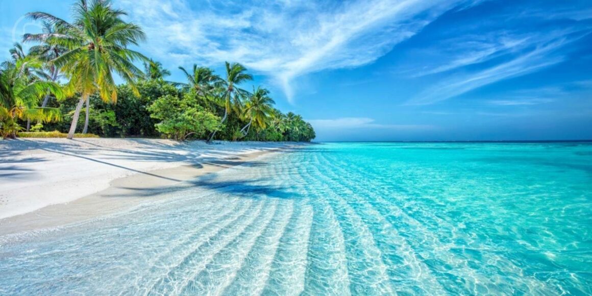 hôtel Trump Maldives tokenisé