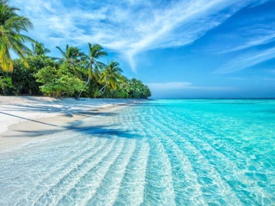 hôtel Trump Maldives tokenisé