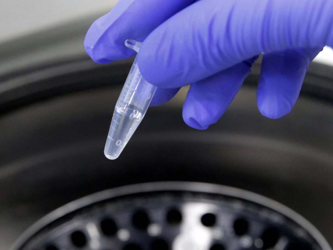 microbiote intestinal enfants