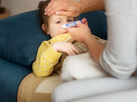 nouvelle souche de grippe