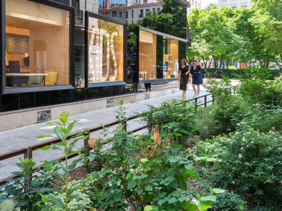 végétalisation urbaine