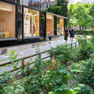 végétalisation urbaine