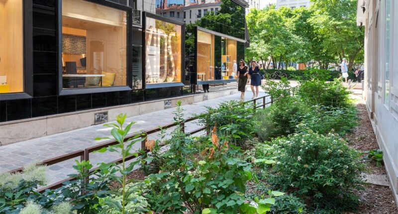 végétalisation urbaine