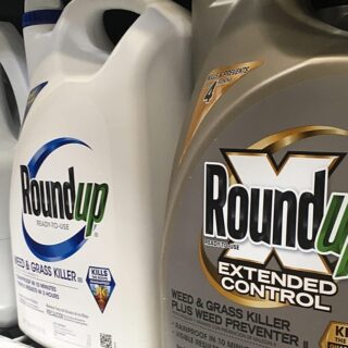 Bayer recours Washington