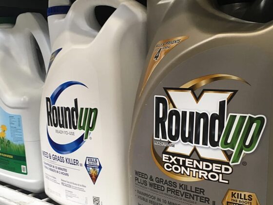 Bayer recours Washington