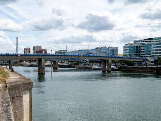 dépollution Issy-les-Moulineaux