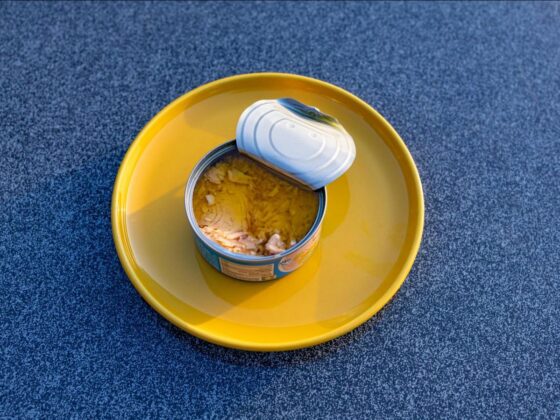 thon en boîte mercure