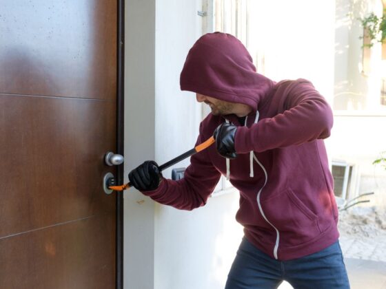 squatteur propriétaire condamnée