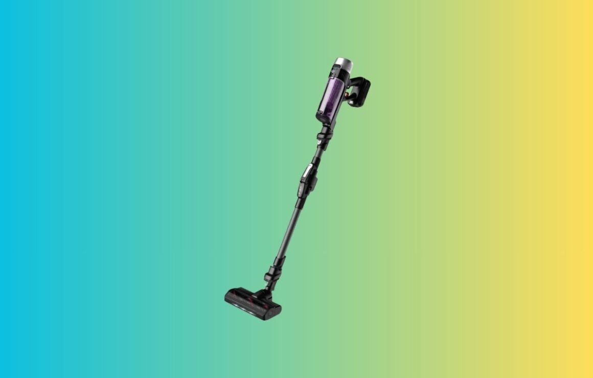 aspirateur Rowenta