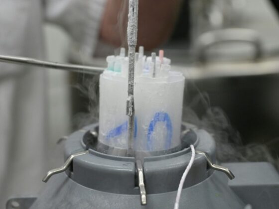 donneur danois risque cancer