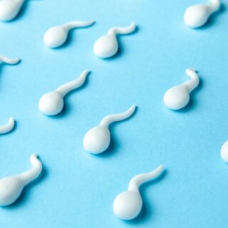 donneur de sperme cancer