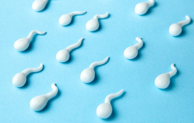 donneur de sperme cancer