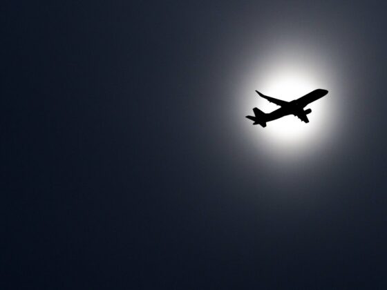 bénéfices compagnies aériennes