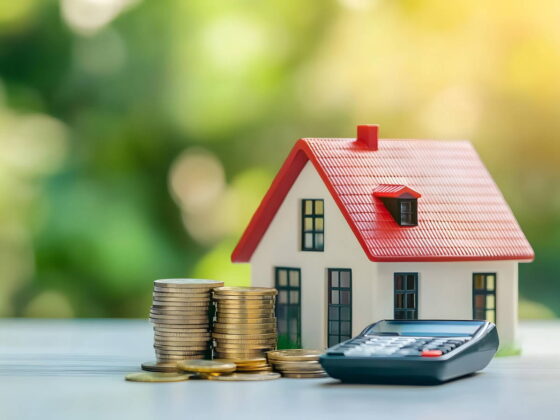 statut bailleur privé