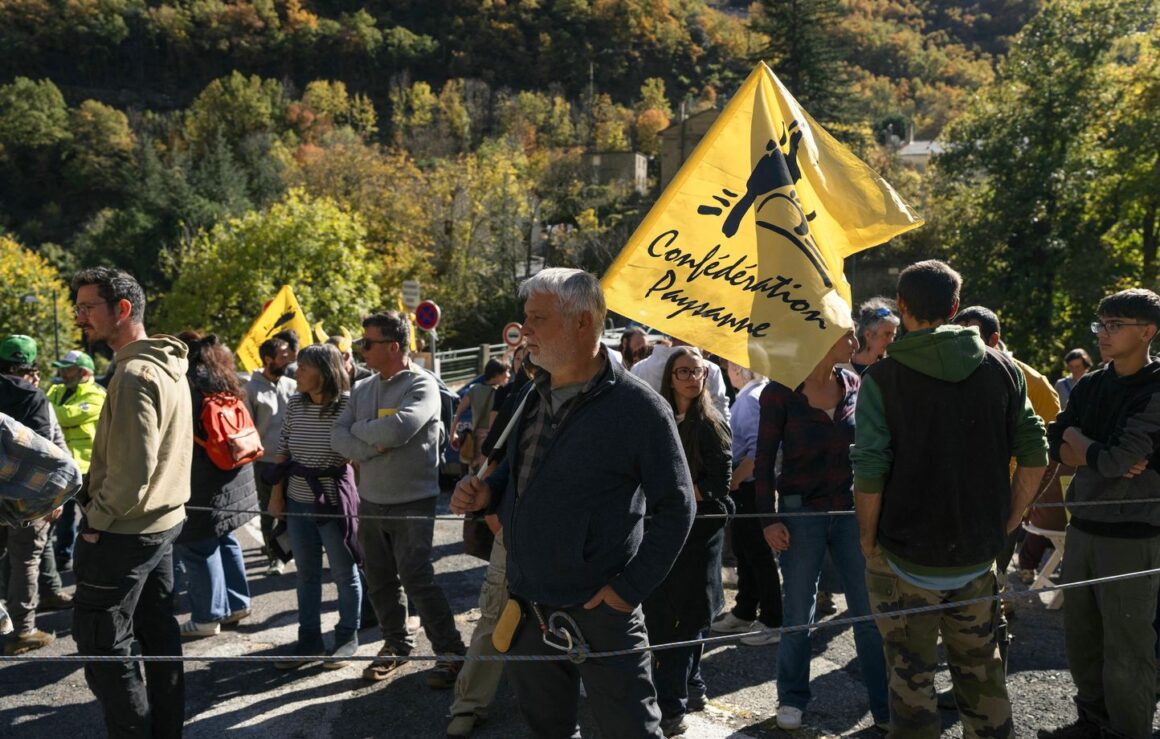 abattage bovins Ariège