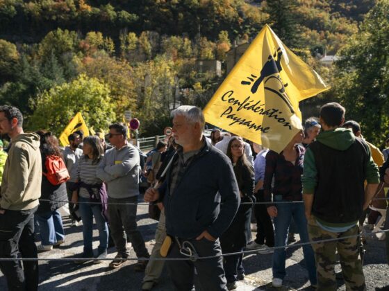 abattage bovins Ariège