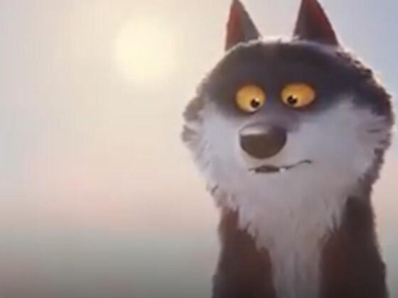 peluche loup Intermarché