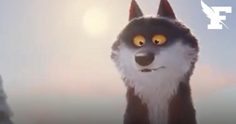 peluche loup Intermarché