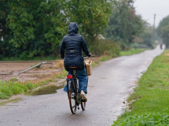 charge mentale femmes