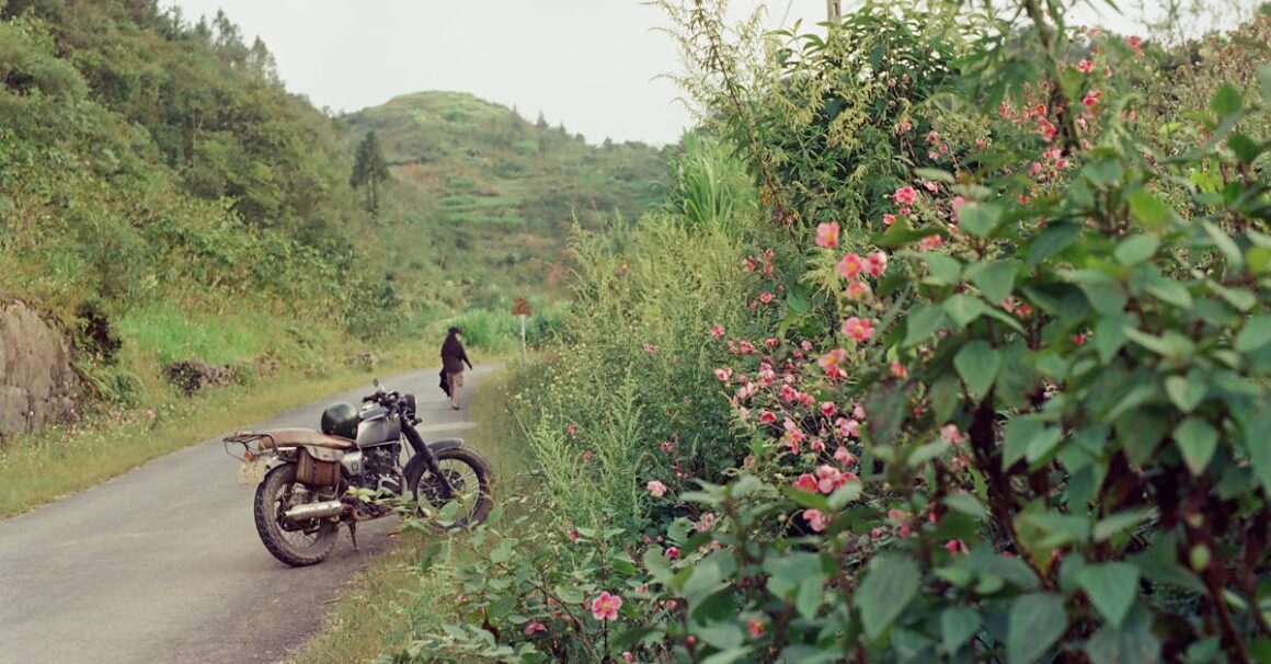 Maif assurance auto vous offre une couverture complète pour votre véhicule. Découvrez nos solutions adaptées et obtenez un devis en ligne dès maintenant.