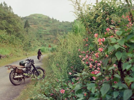 Maif assurance auto vous offre une couverture complète pour votre véhicule. Découvrez nos solutions adaptées et obtenez un devis en ligne dès maintenant.