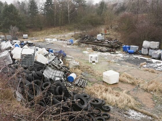 pollueurs environnementaux