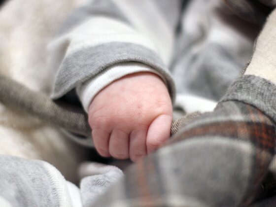 décès naissances France