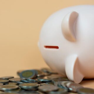 espérance de vie en France