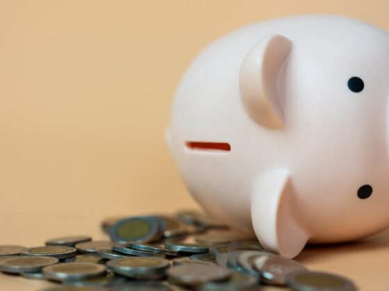 espérance de vie en France