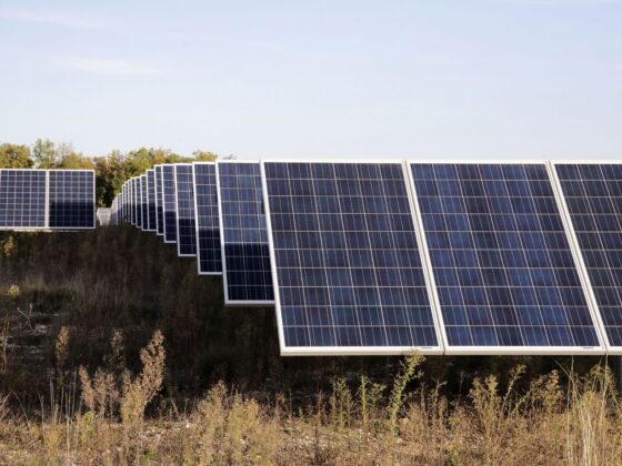 parc solaire CéléWatt