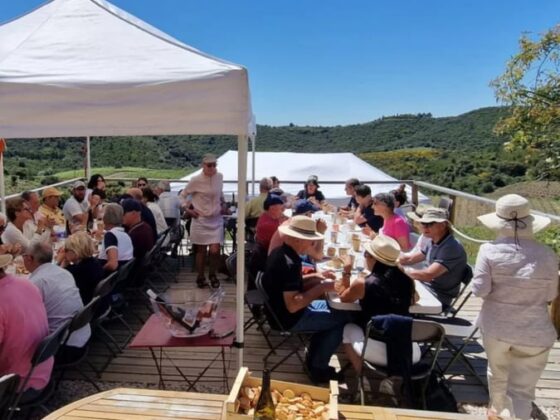 financement citoyen viticulture