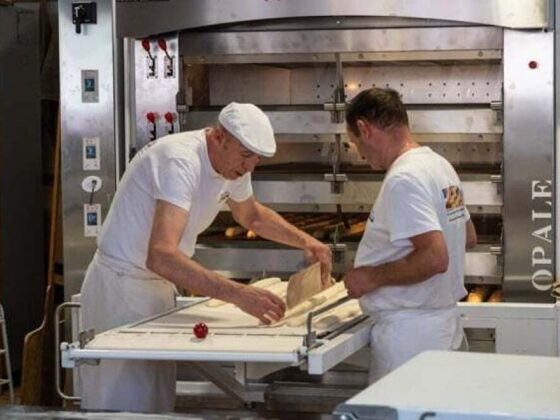 taux d'emploi apprentissage