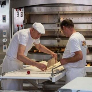 taux d'emploi apprentissage