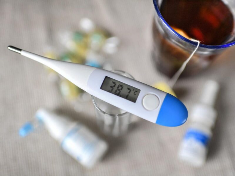 grippe aviaire résistance