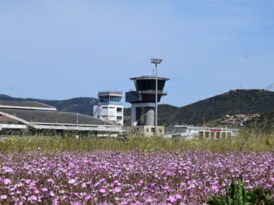 biodiversité aéroports